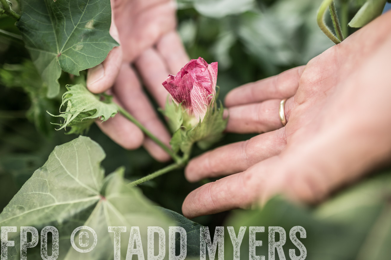 TMyers_CameronTX_June2014-9569