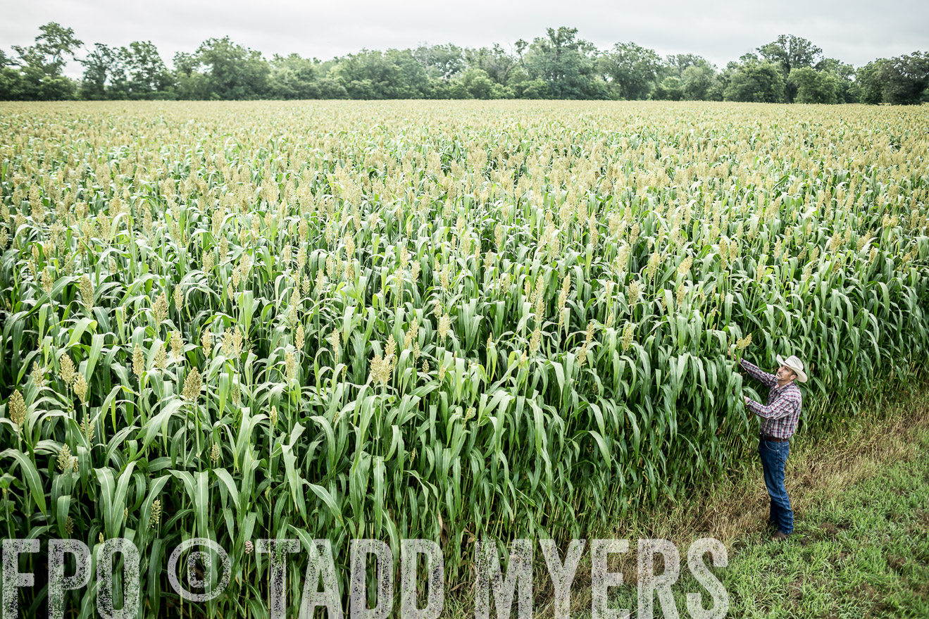 TMyers_CameronTX_June2014-0029