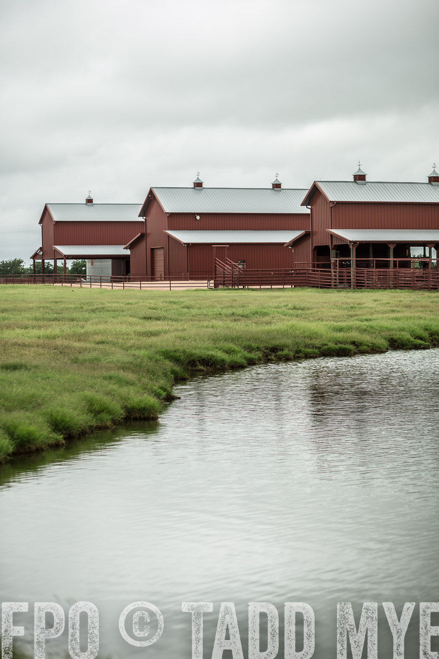 TMyers_CameronTX_June2014-0598