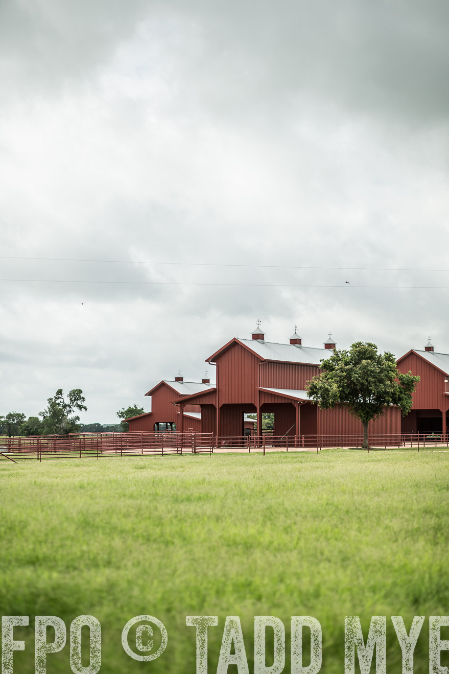 TMyers_CameronTX_June2014-0689