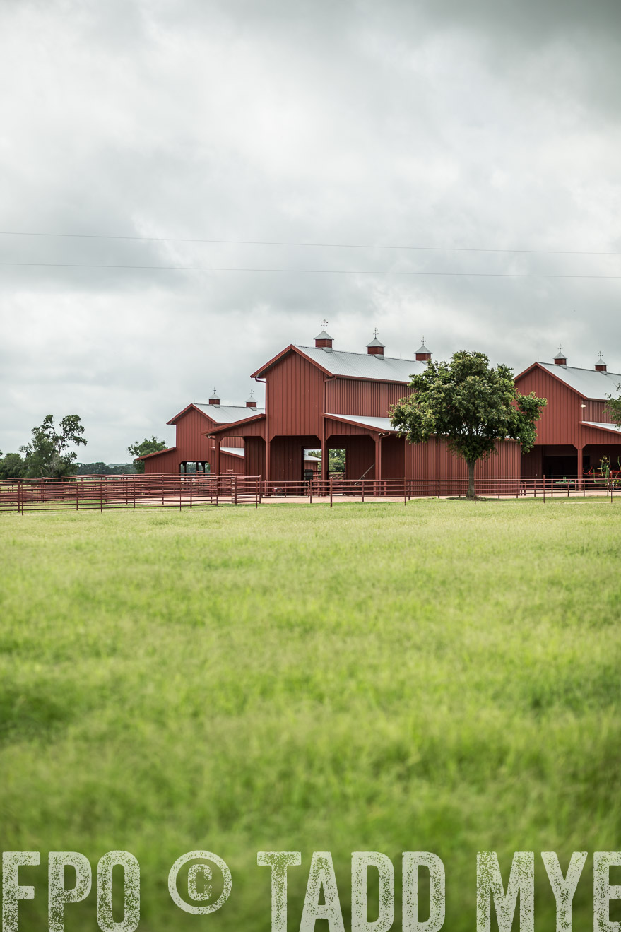 TMyers_CameronTX_June2014-0696