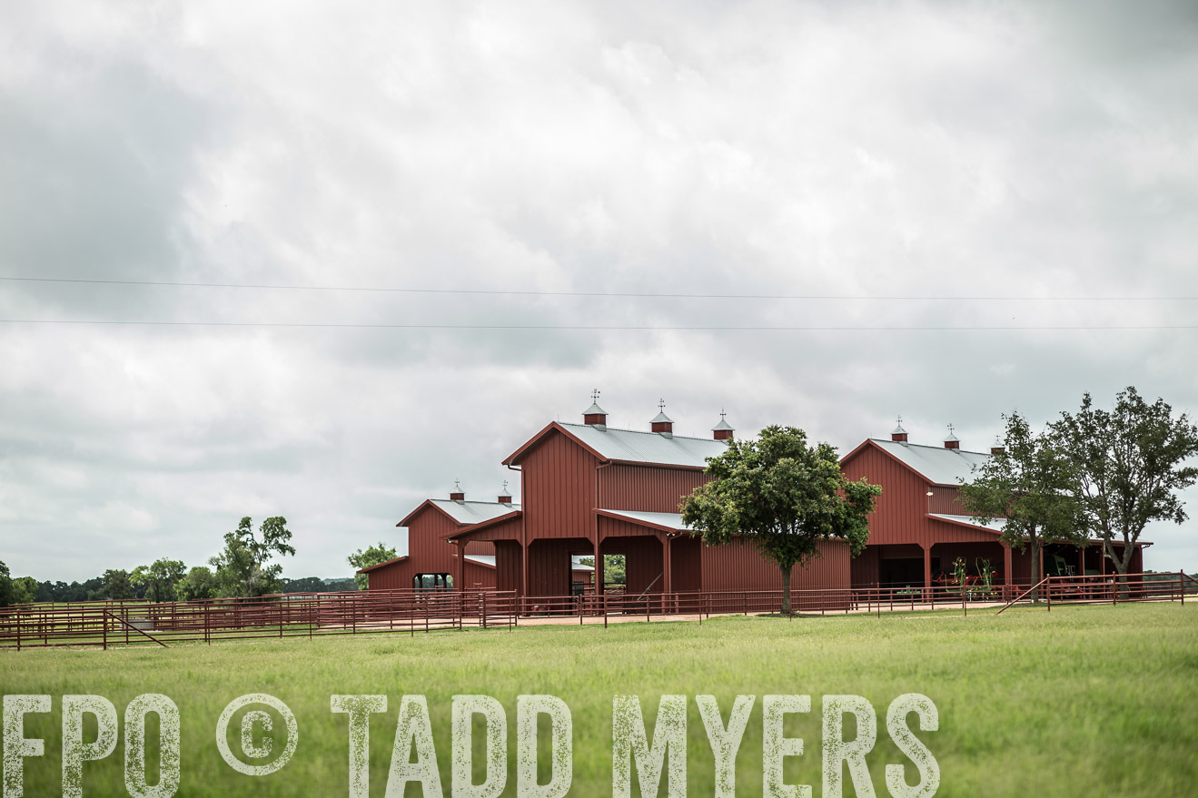 TMyers_CameronTX_June2014-0711