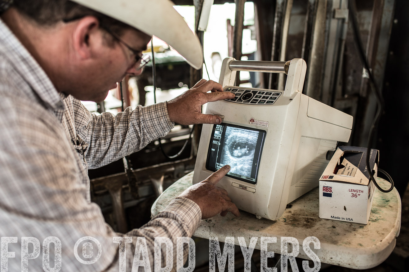 TMyers_CameronTX_June2014-0939