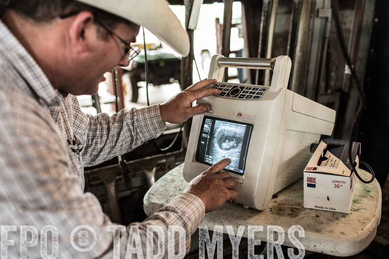 TMyers_CameronTX_June2014-0950