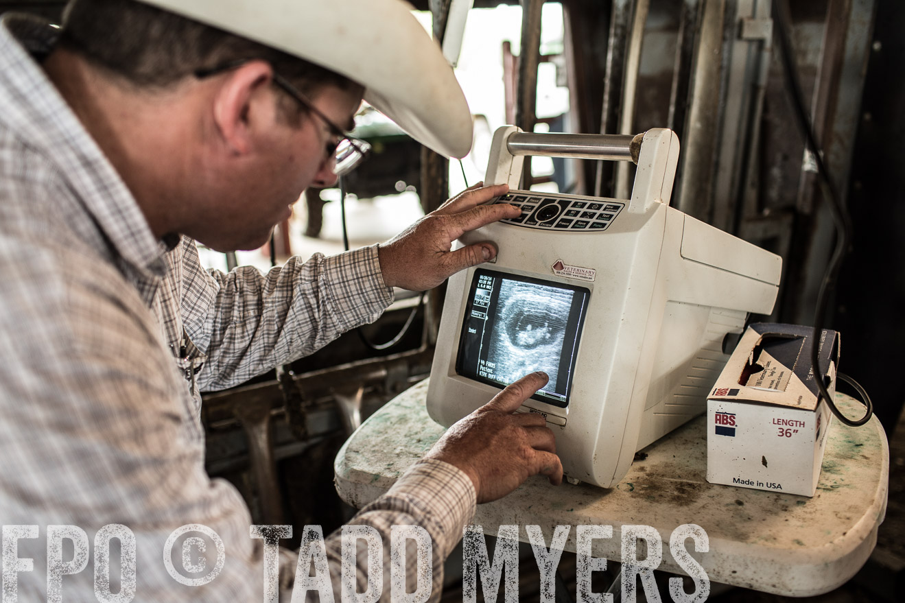 TMyers_CameronTX_June2014-0953