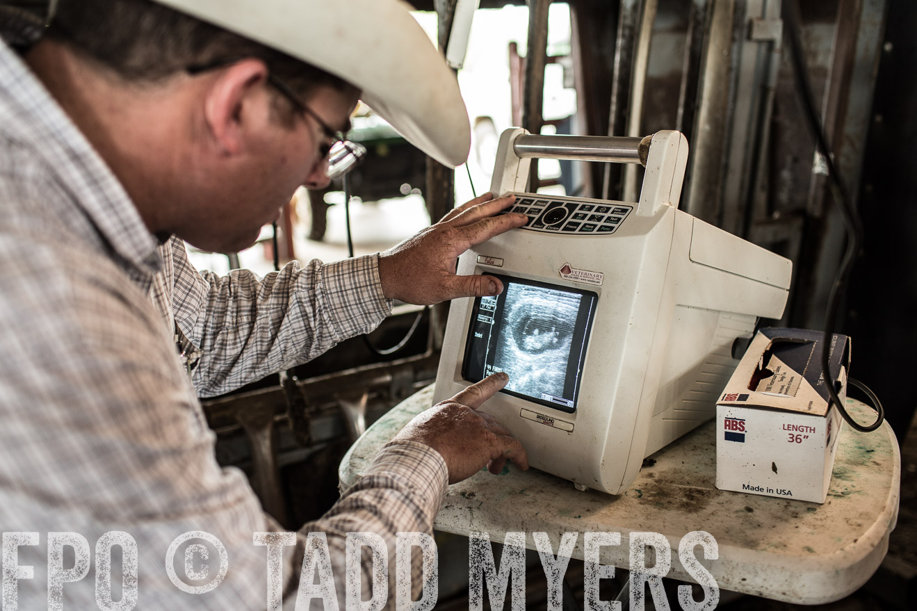 TMyers_CameronTX_June2014-0956