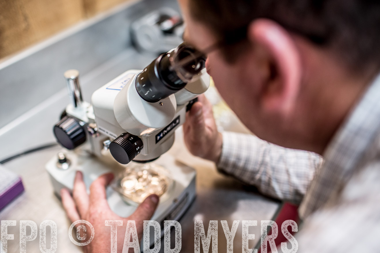 TMyers_CameronTX_June2014-1129