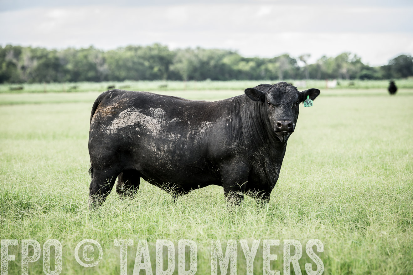 TMyers_CameronTX_June2014-1921
