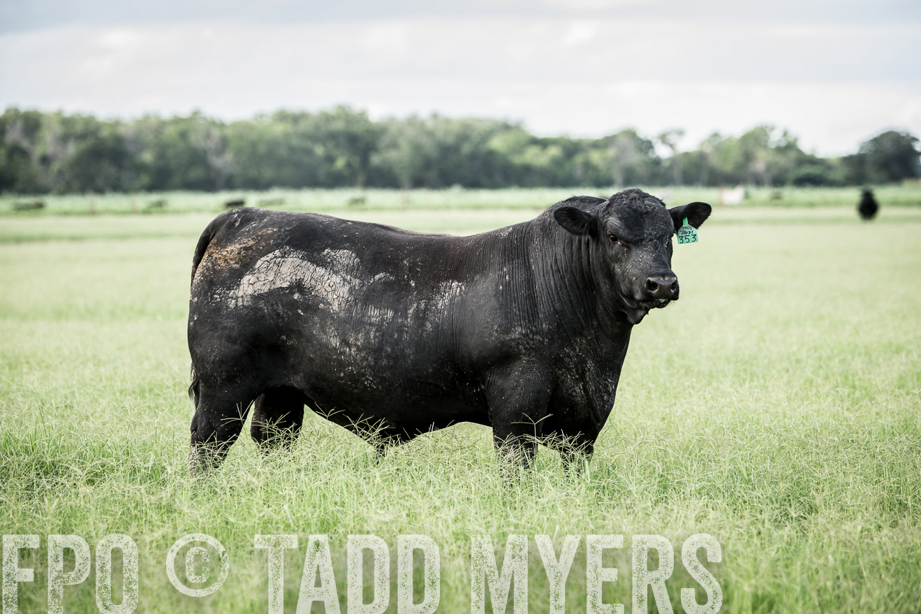 TMyers_CameronTX_June2014-1927