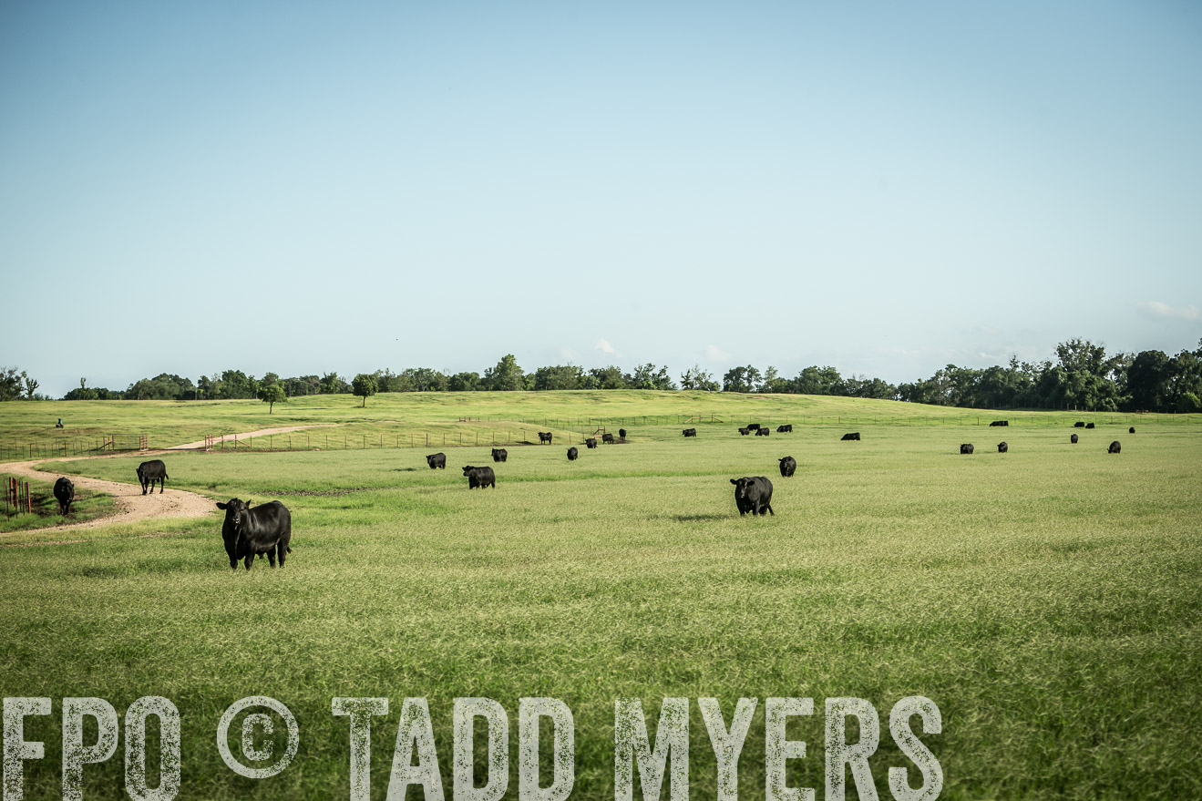 TMyers_CameronTX_June2014-2014