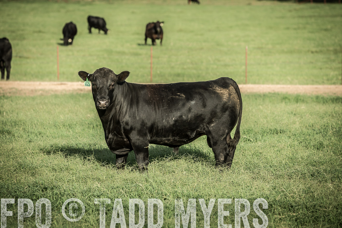 TMyers_CameronTX_June2014-2144