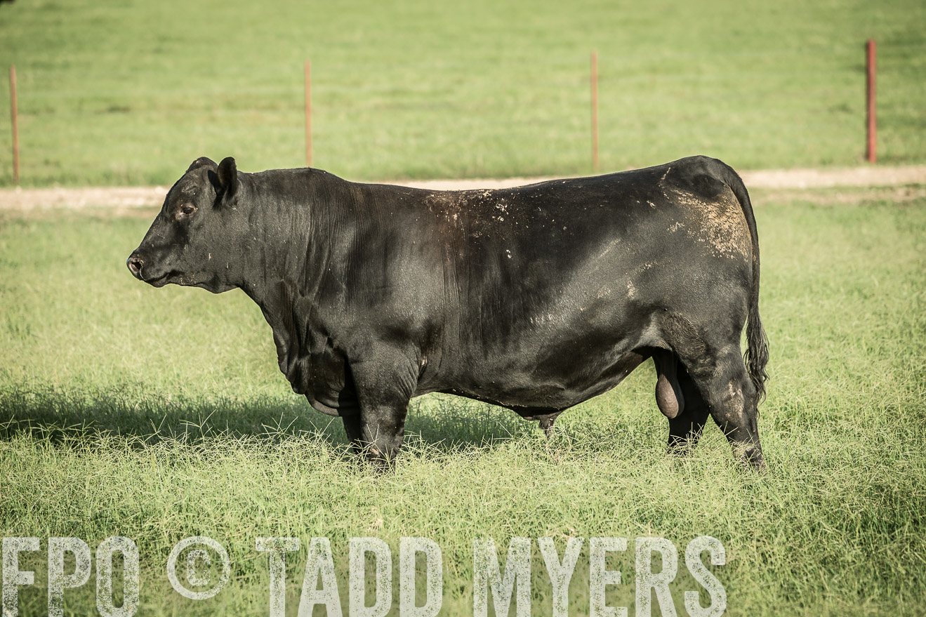 TMyers_CameronTX_June2014-2157