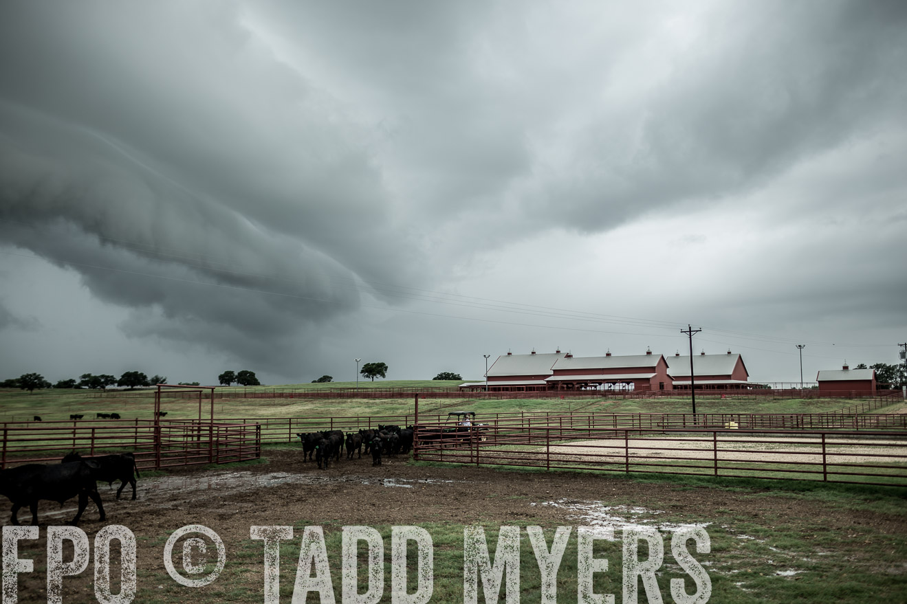 TMyers_CameronTX_June2014-8673