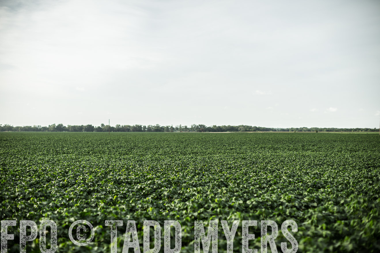 TMyers_CameronTX_June2014-9361