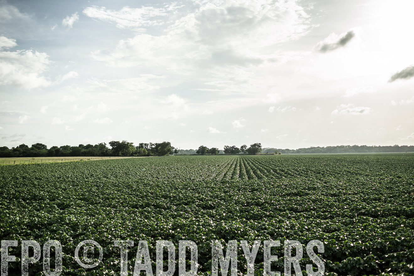TMyers_CameronTX_June2014-9409