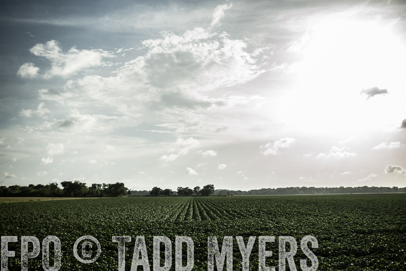 TMyers_CameronTX_June2014-9445