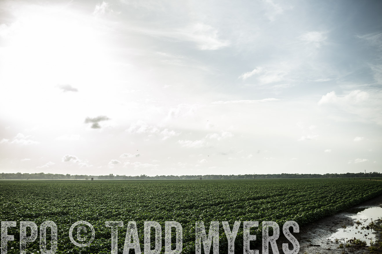 TMyers_CameronTX_June2014-9451