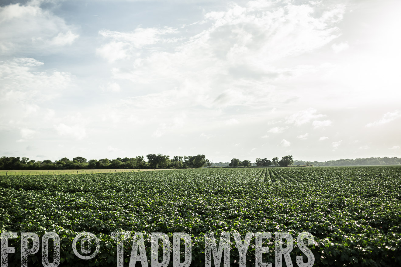 TMyers_CameronTX_June2014-9457