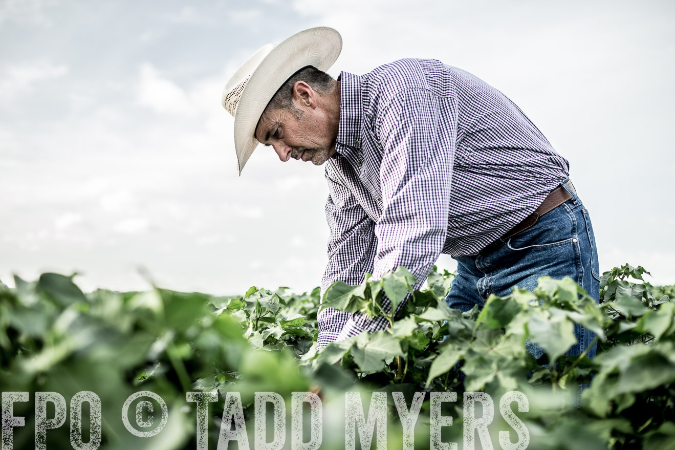 TMyers_CameronTX_June2014-9500
