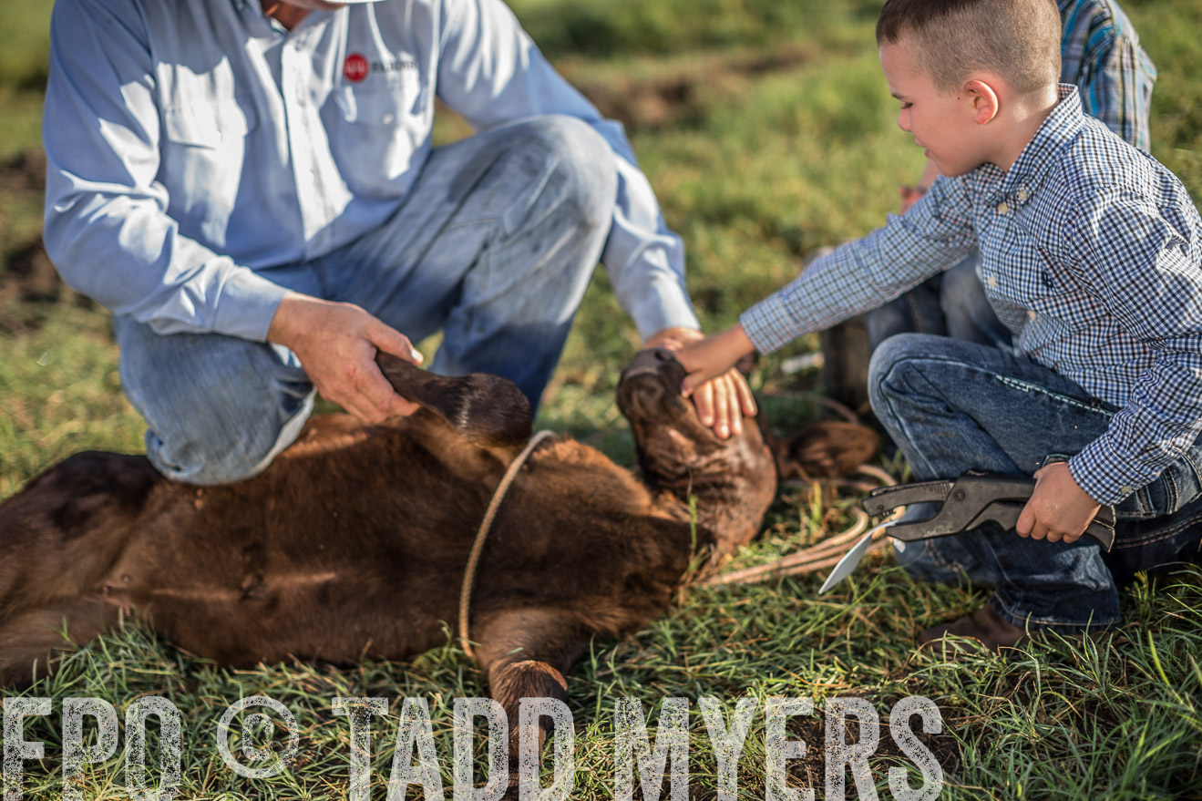 TMyers_CameronTX_June2016-0230