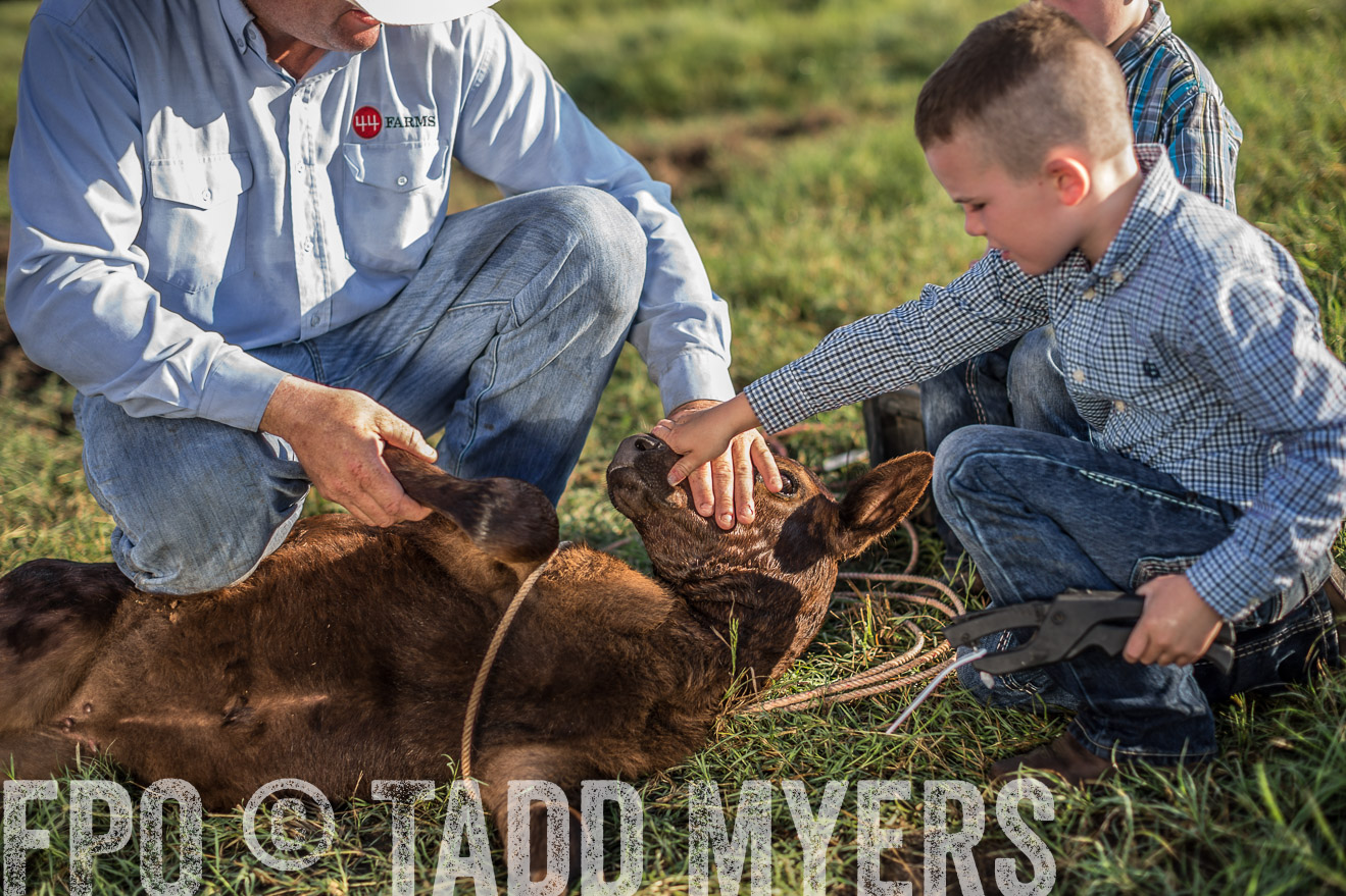 TMyers_CameronTX_June2016-0231