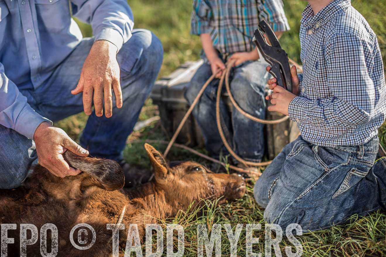 TMyers_CameronTX_June2016-0258