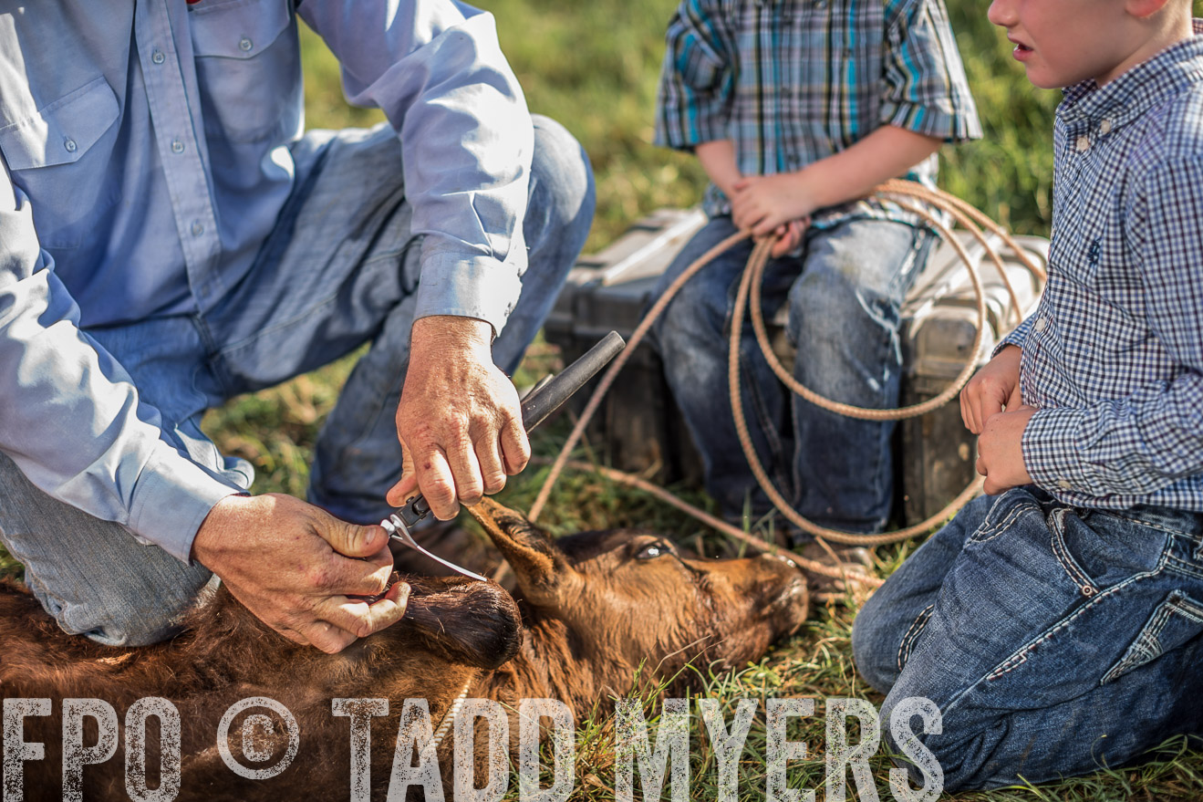 TMyers_CameronTX_June2016-0260