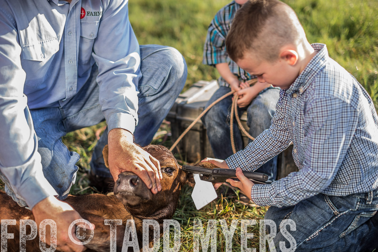 TMyers_CameronTX_June2016-0276
