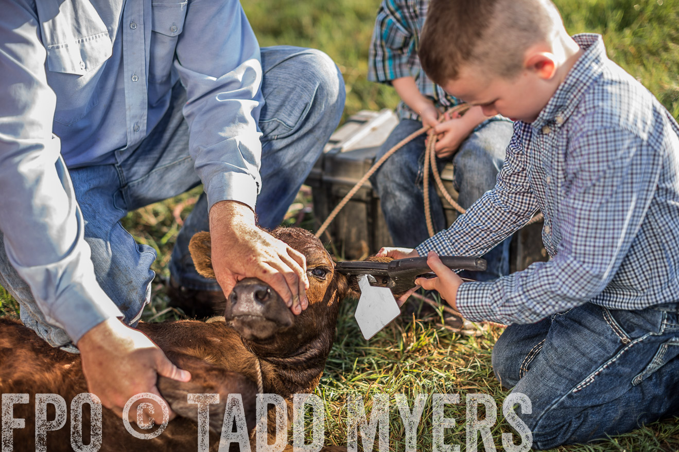 TMyers_CameronTX_June2016-0279