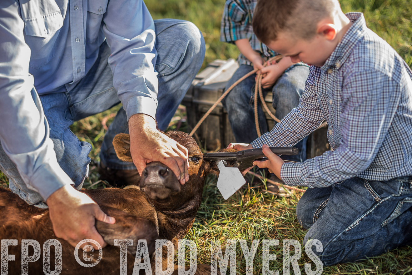 TMyers_CameronTX_June2016-0280