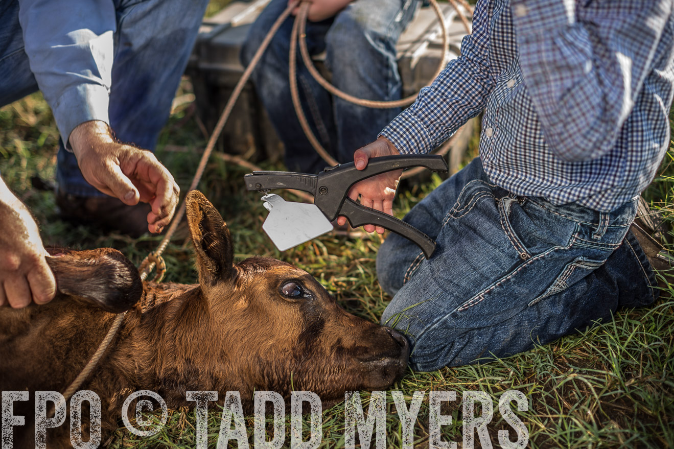 TMyers_CameronTX_June2016-0300