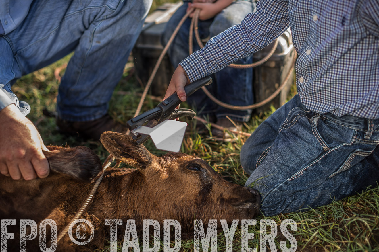 TMyers_CameronTX_June2016-0301