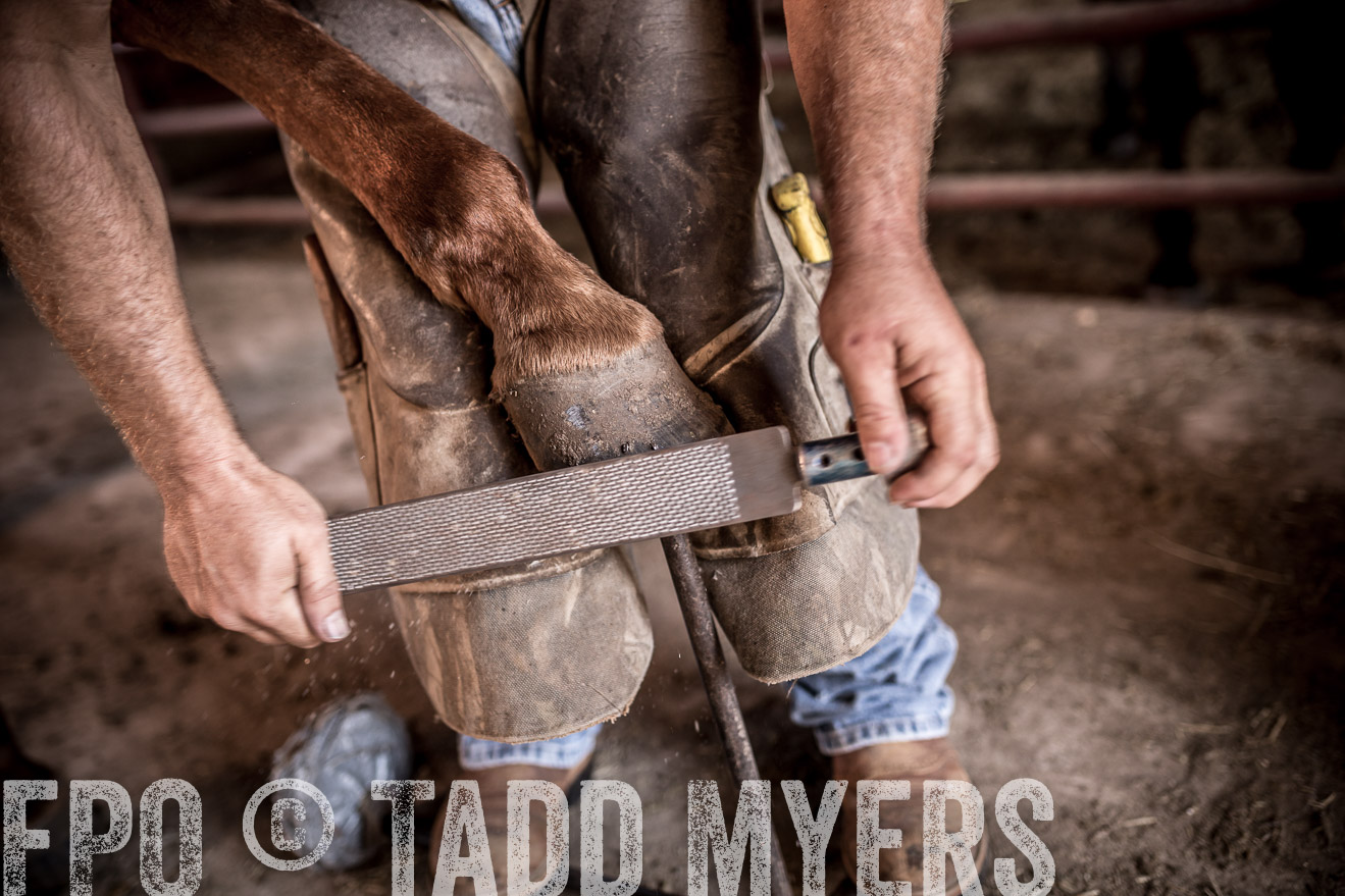TMyers_CameronTX_June2016-1211