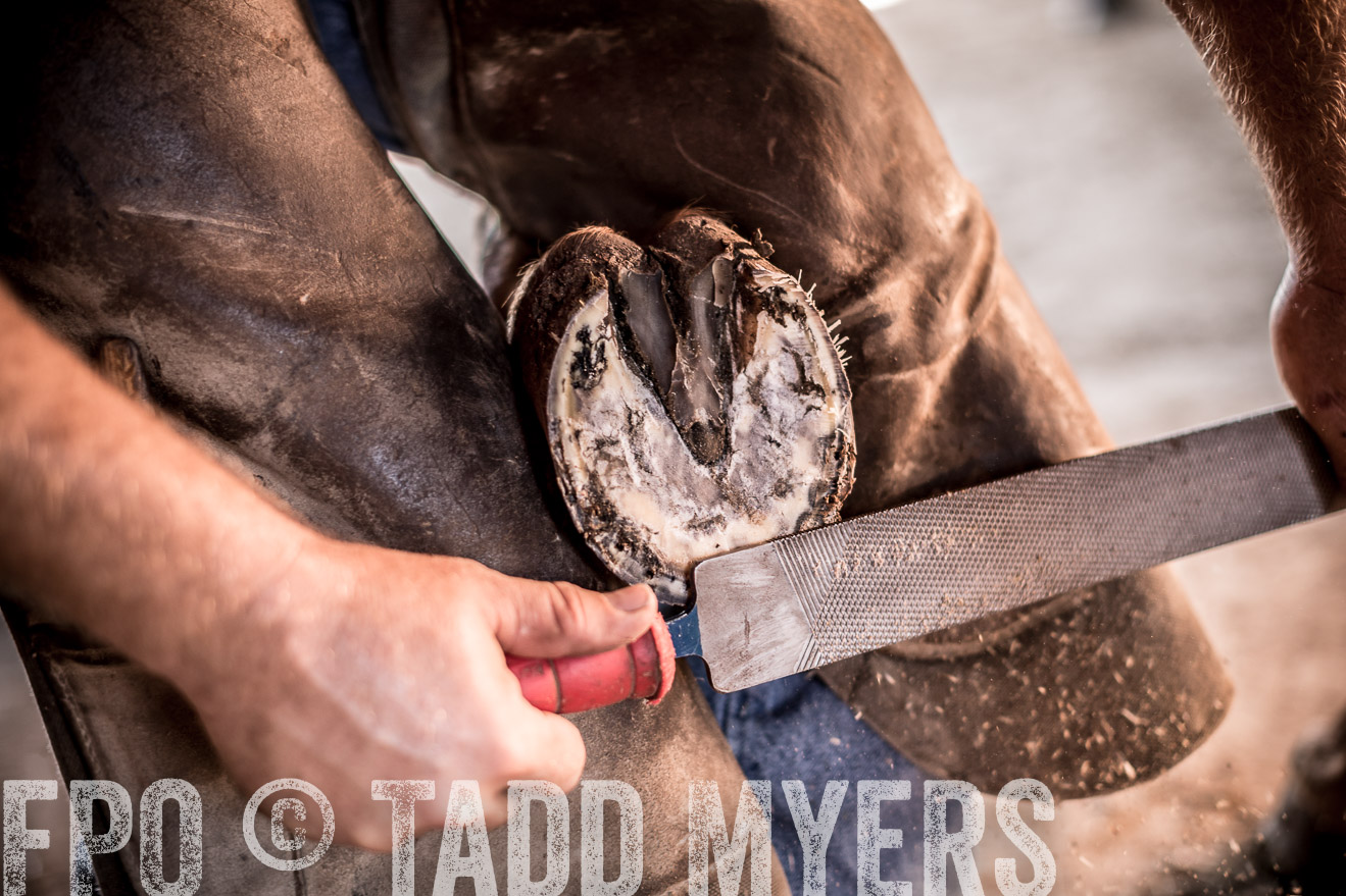 TMyers_CameronTX_June2016-1228