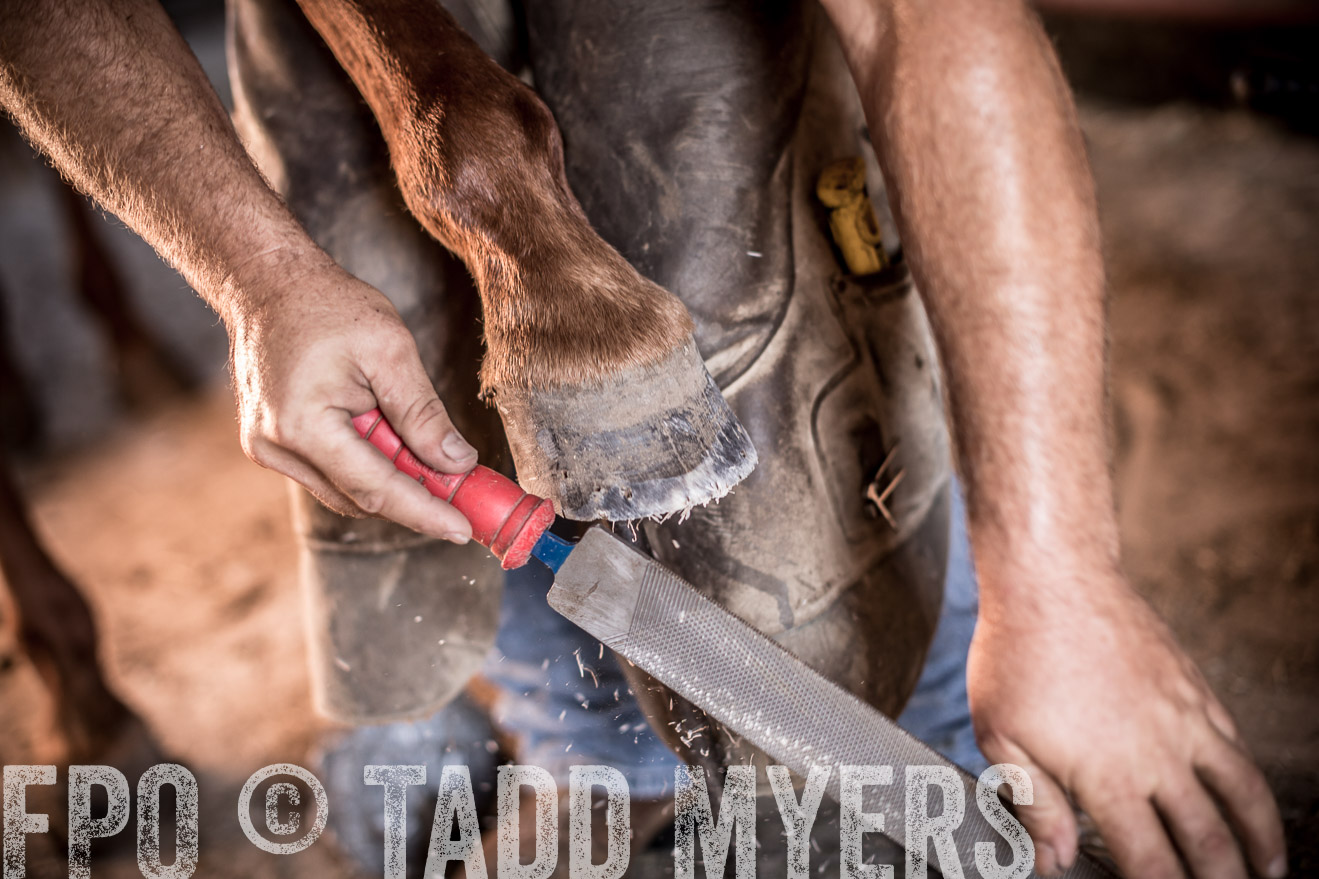 TMyers_CameronTX_June2016-1251