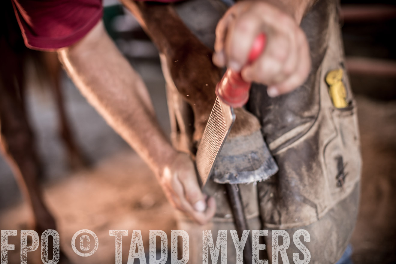 TMyers_CameronTX_June2016-1253