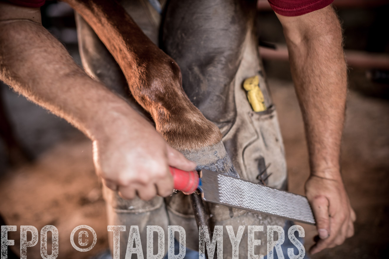 TMyers_CameronTX_June2016-1255