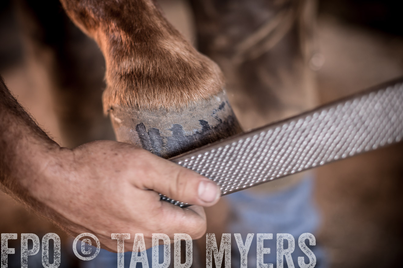 TMyers_CameronTX_June2016-1262