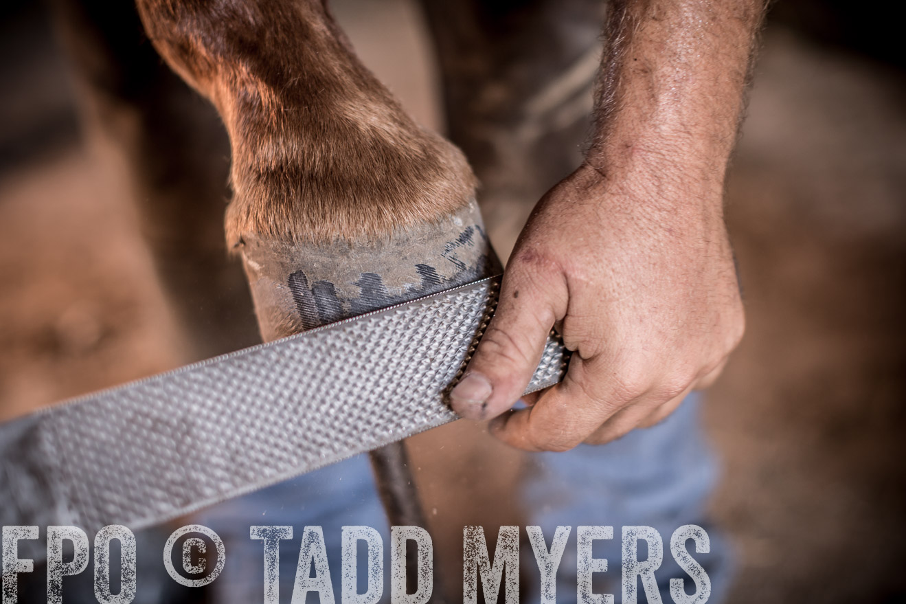 TMyers_CameronTX_June2016-1263