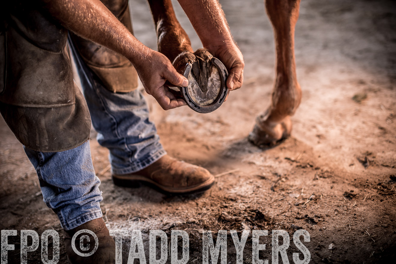 TMyers_CameronTX_June2016-1323