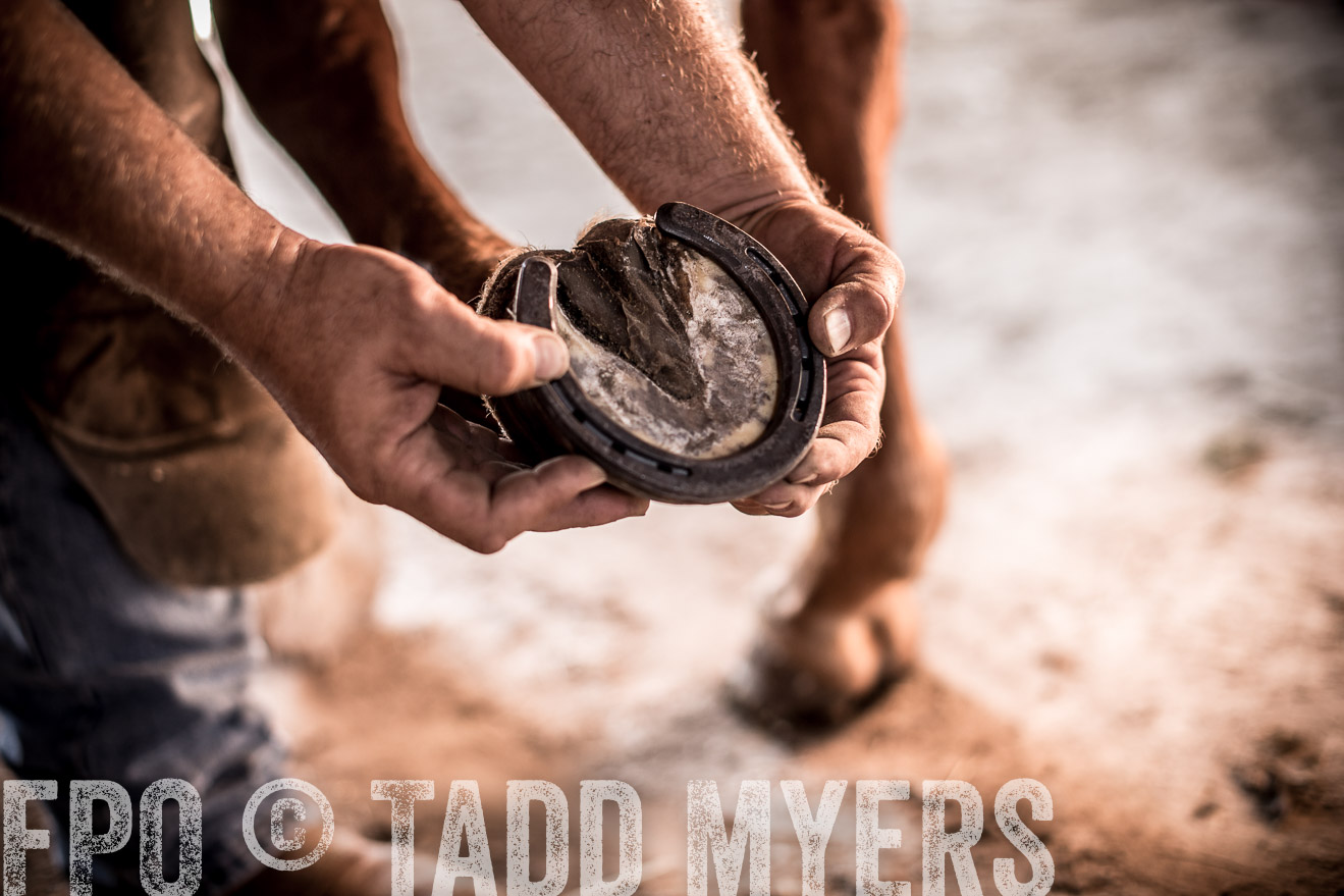 TMyers_CameronTX_June2016-1334