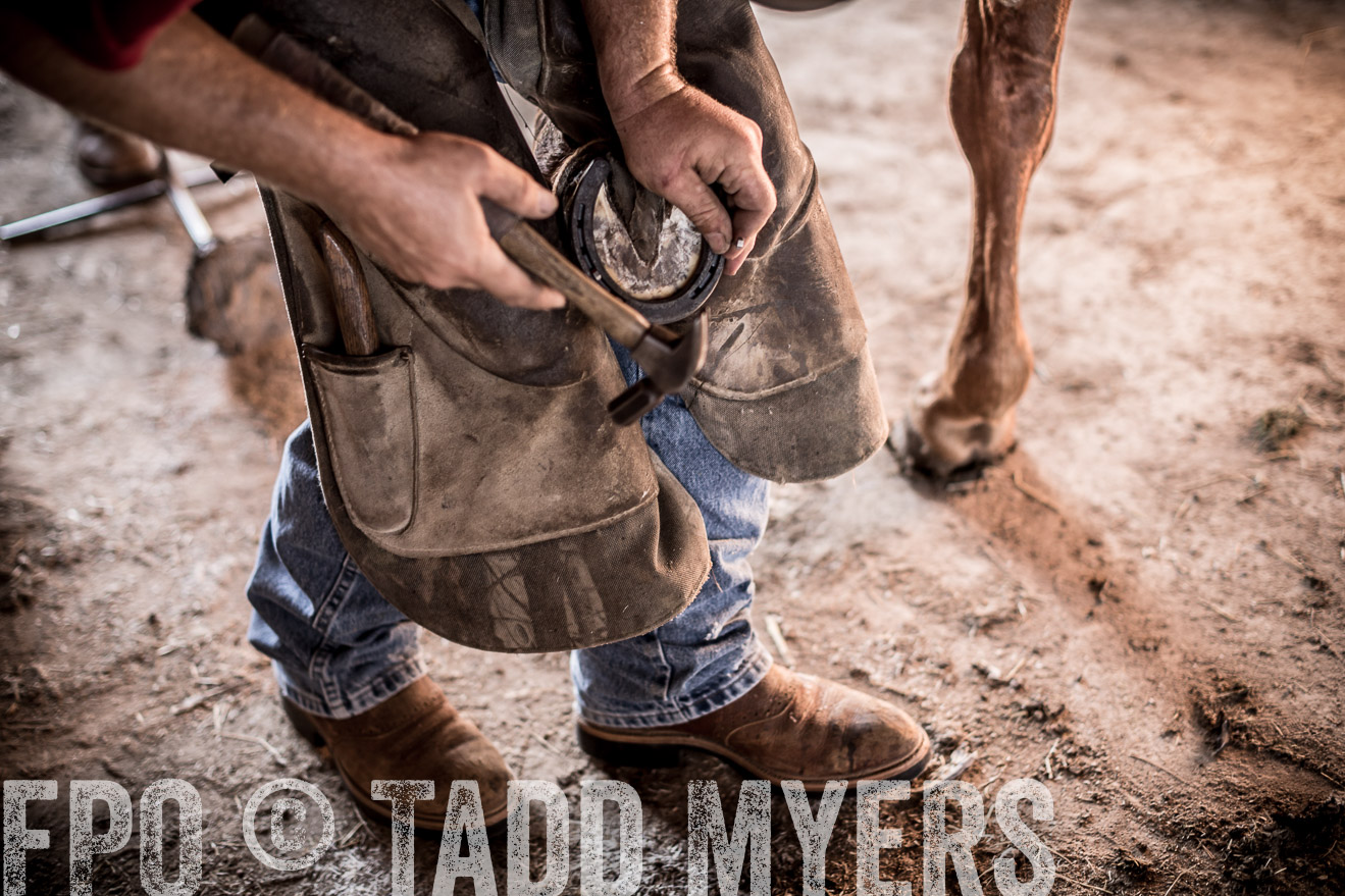 TMyers_CameronTX_June2016-1349