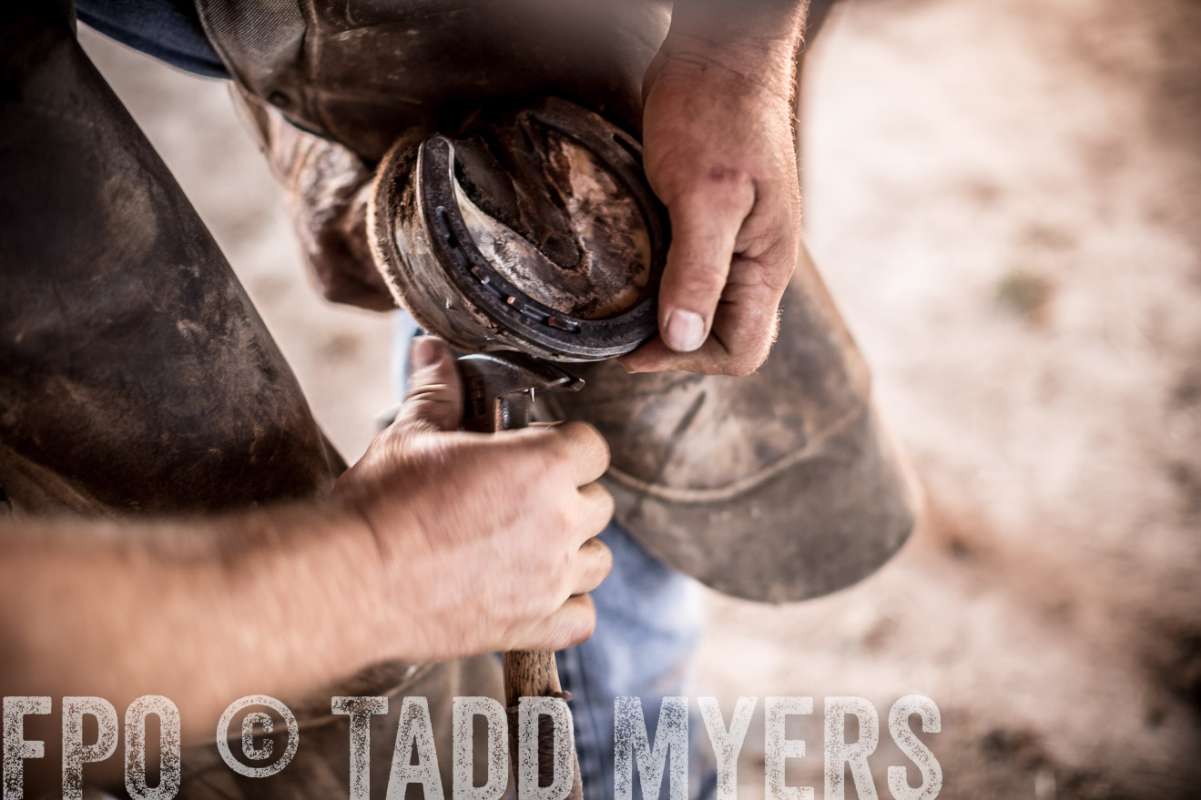 TMyers_CameronTX_June2016-1368