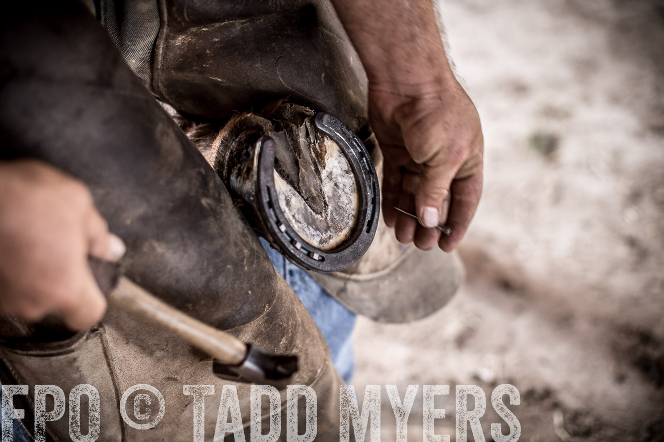 TMyers_CameronTX_June2016-1371