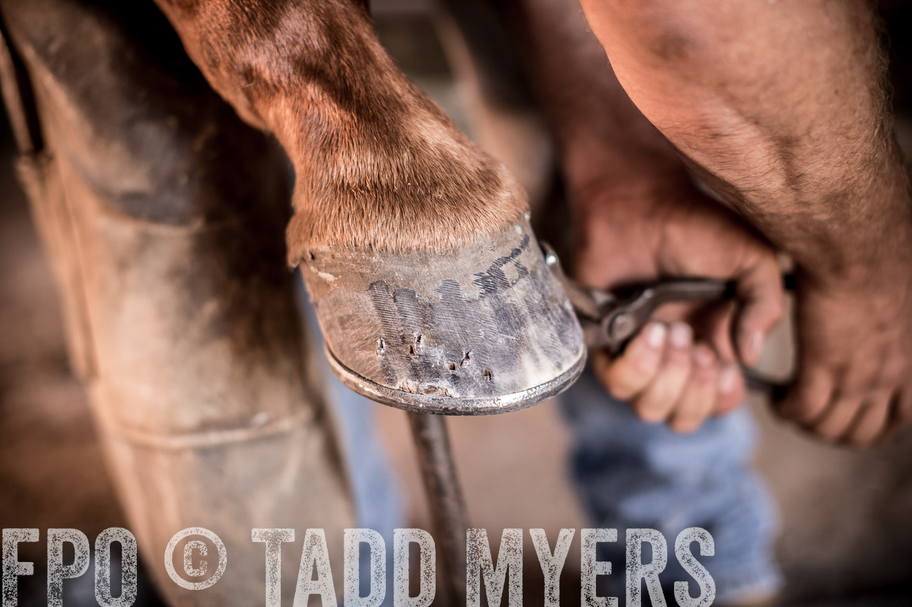TMyers_CameronTX_June2016-1388