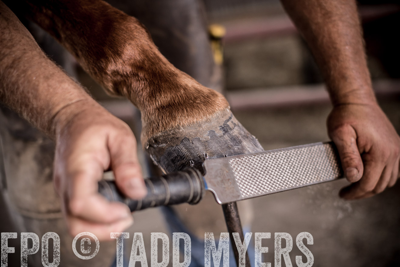 TMyers_CameronTX_June2016-1393
