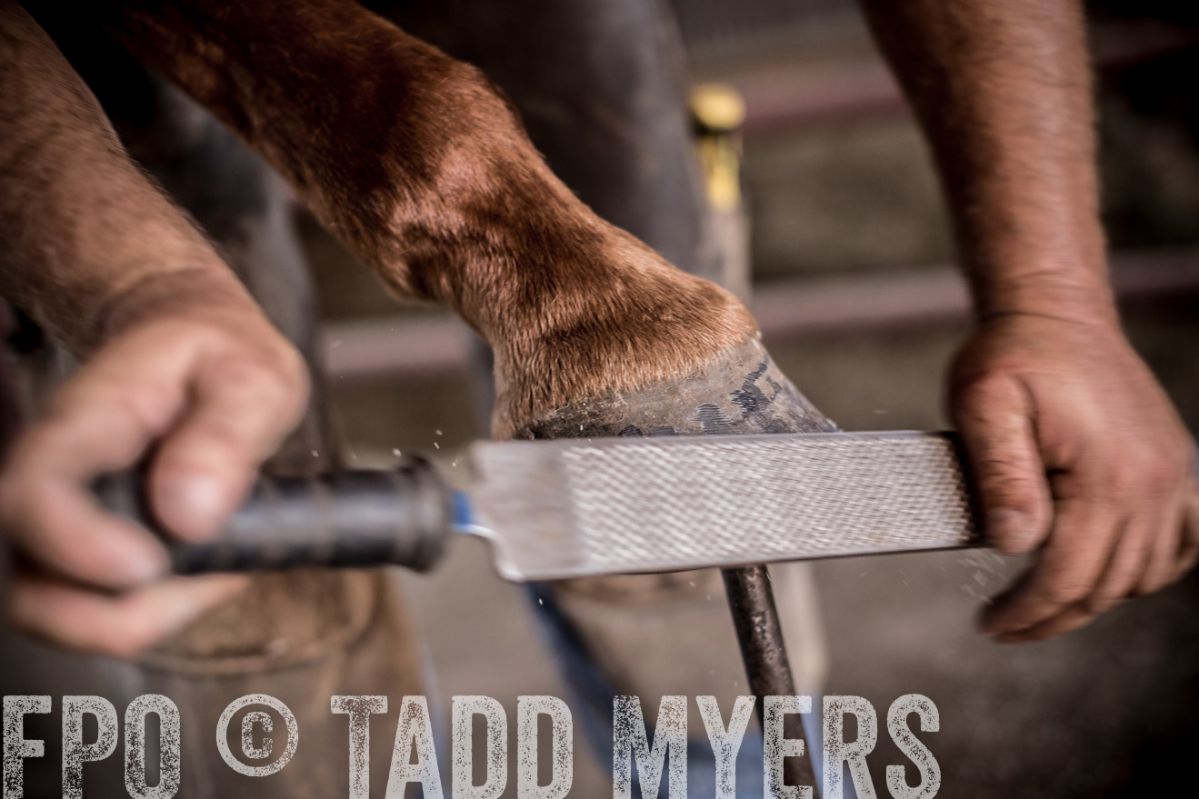 TMyers_CameronTX_June2016-1394