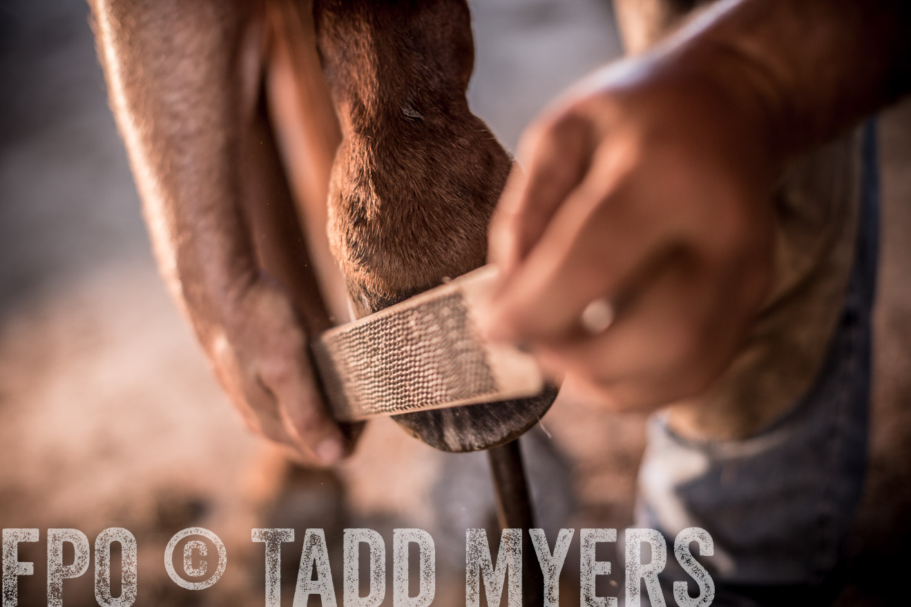 TMyers_CameronTX_June2016-1406