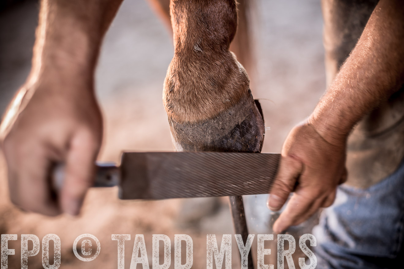 TMyers_CameronTX_June2016-1412
