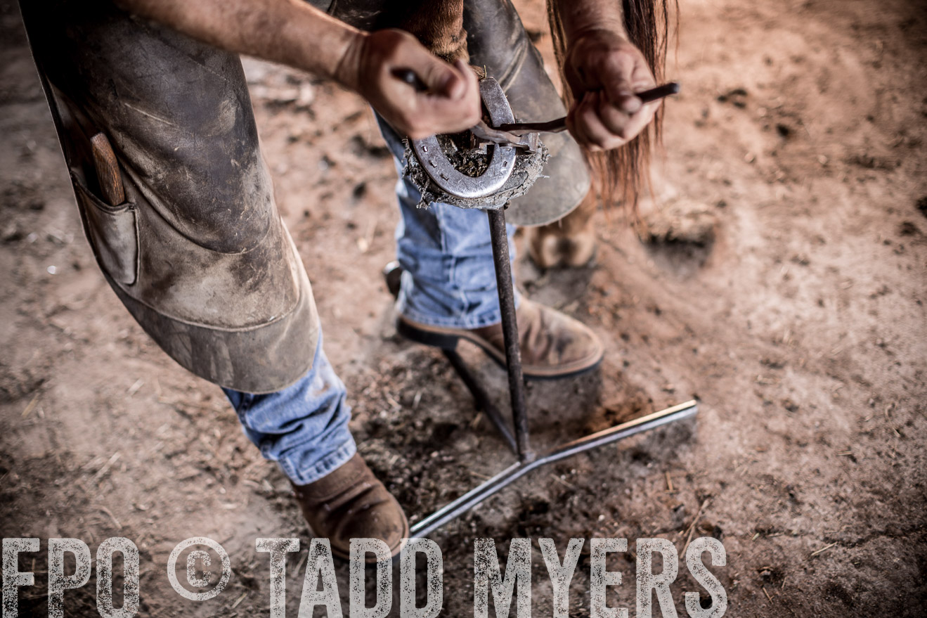 TMyers_CameronTX_June2016-1420